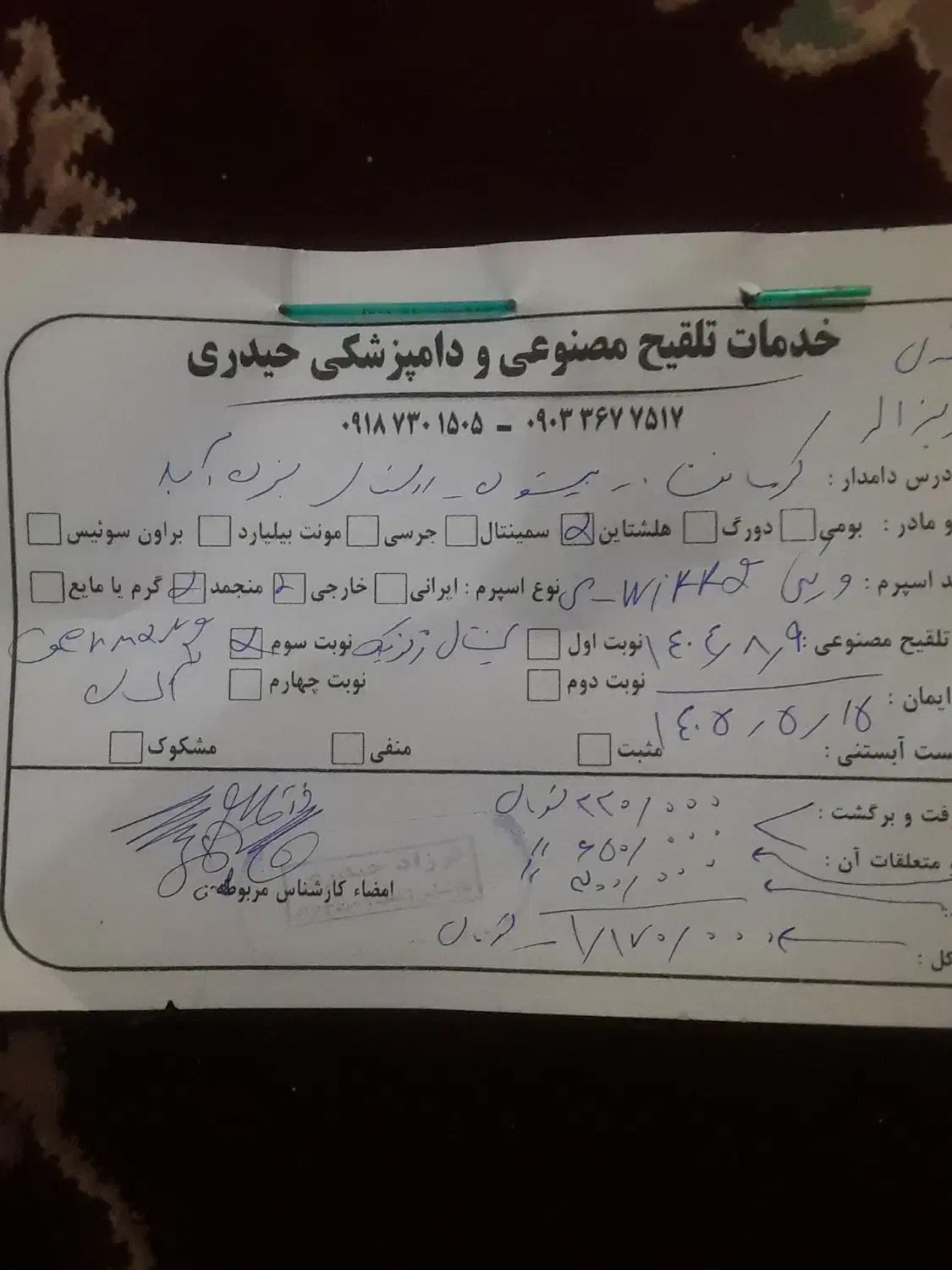 گاو گوساله|حیوانات مزرعه|بیستون, |دیوار