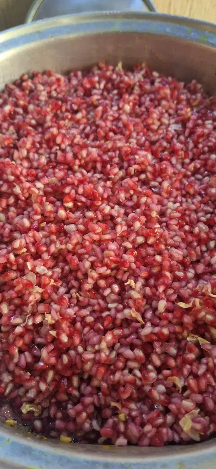 رب انار ترش جنگلی|خوردنی و آشامیدنی|رشت, کوی مهر|دیوار