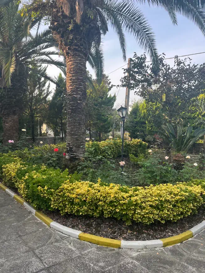 فروش ویلا باغ شهرکی ۶۰۰متری در منطقه نمک آبرود|فروش خانه و ویلا|هچیرود, |دیوار