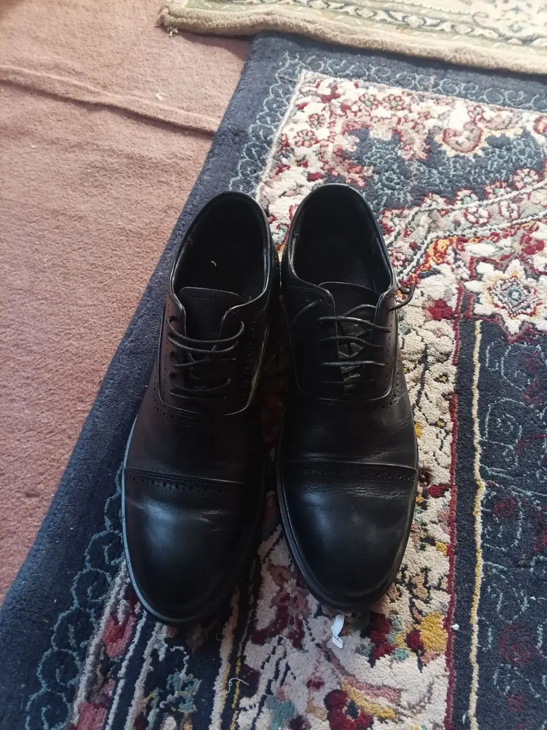 کفش شمار 42هدیه اوردن برام|کیف، کفش، کمربند|جیرفت, |دیوار