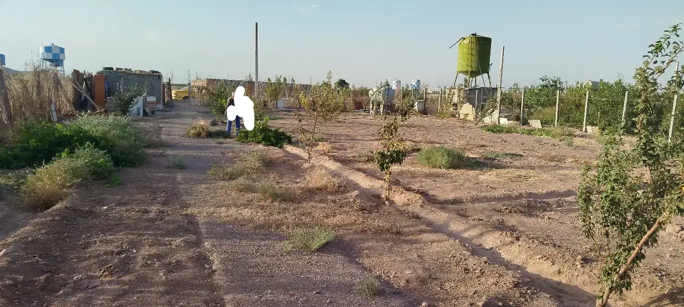 زمین سندتک برگ روبروی شهرک خانه|فروش زمین و ملک کلنگی|رباطکریم, الارد|دیوار