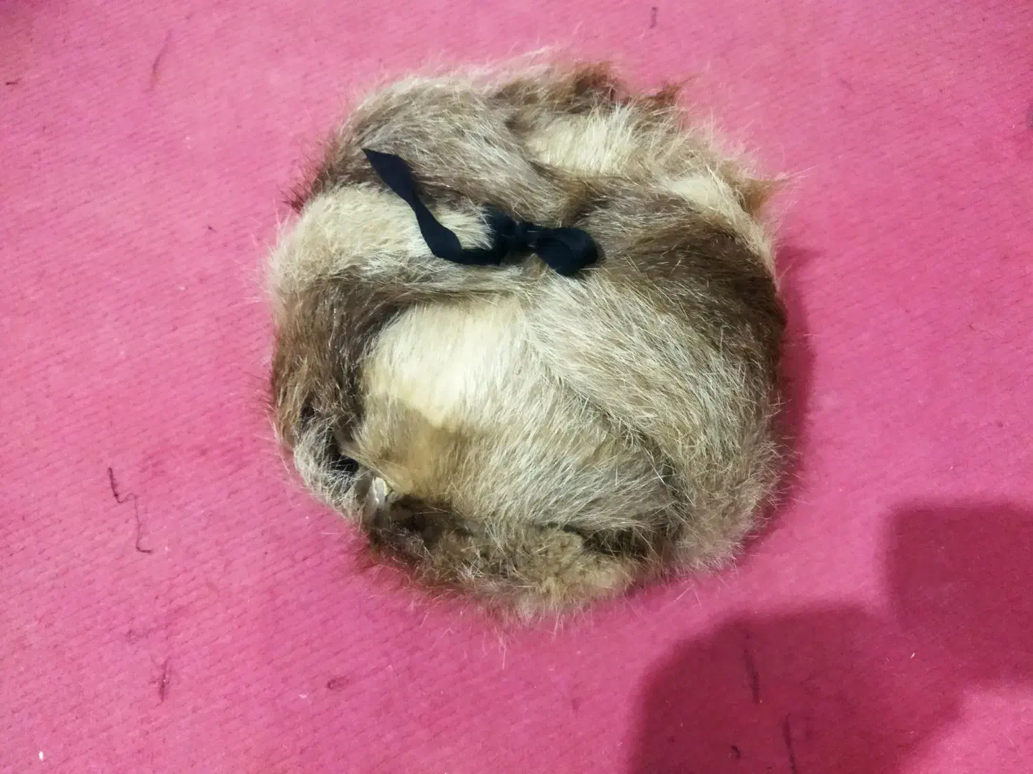 کلاه گرم|لباس|زابل, |دیوار