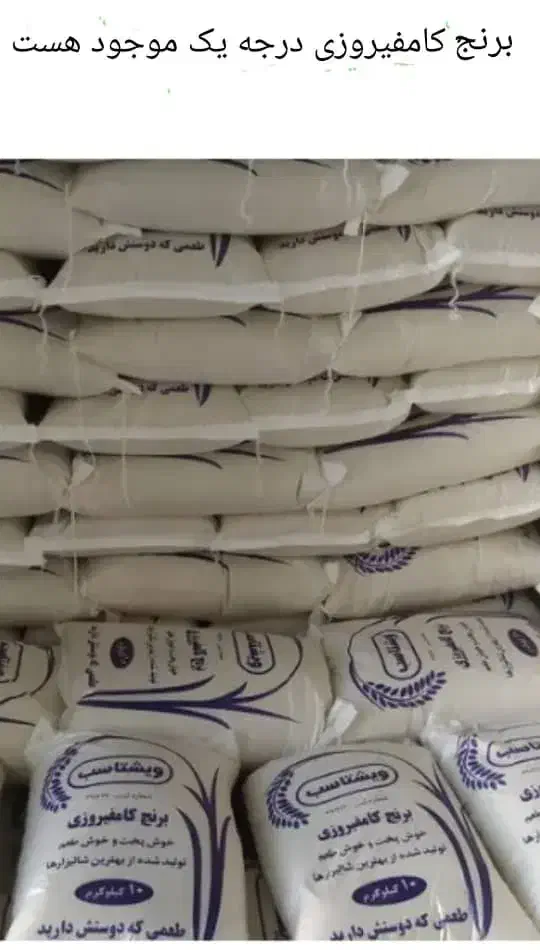 برنج کامفیروزی درجه یک|خوردنی و آشامیدنی|بوشهر, |دیوار