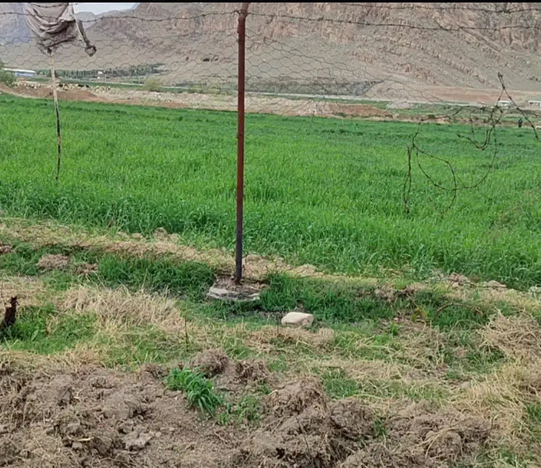 زمین مسکونی|فروش زمین و ملک کلنگی|خرمآباد, |دیوار