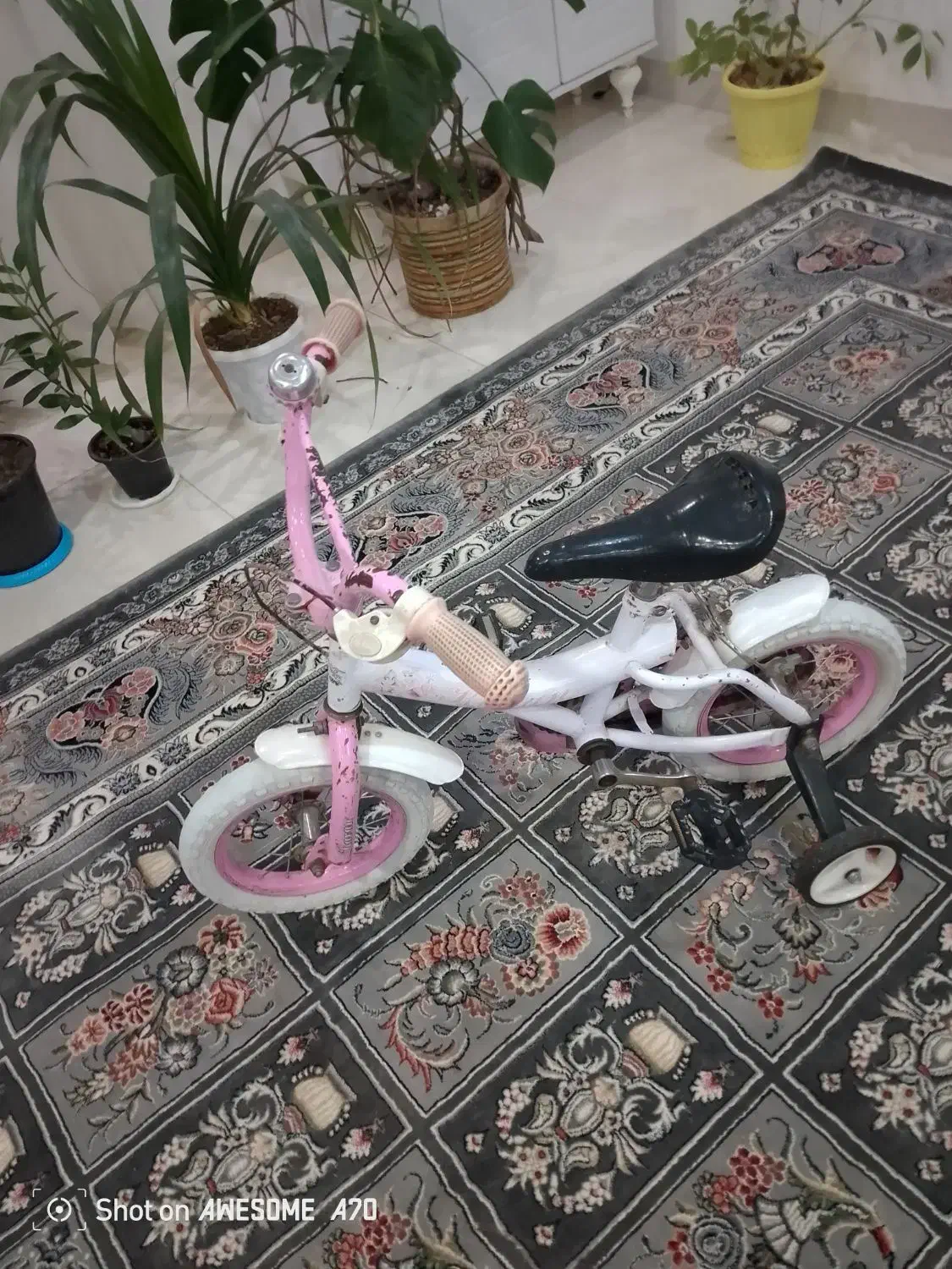 دوچرخه|دوچرخه، اسکیت، اسکوتر|تربت جام, شهید غلام زاده|دیوار