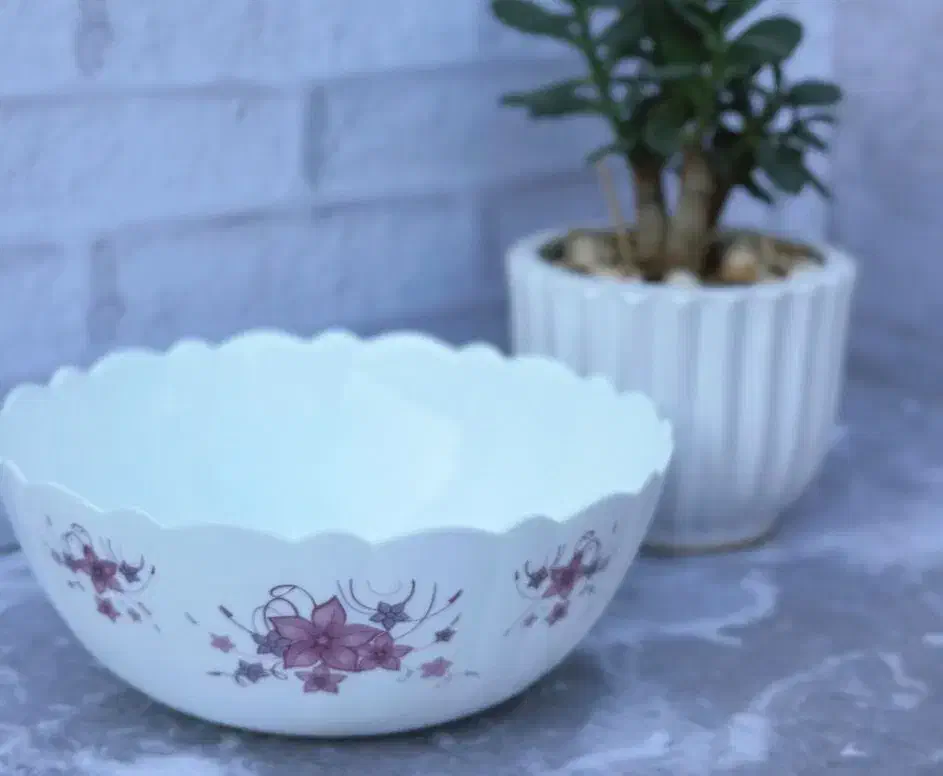 پیاله .ابگوشت خوری .کاسه سالاد ارکوپال|ظروف سرو و پذیرایی|شیروان (خراسان), |دیوار