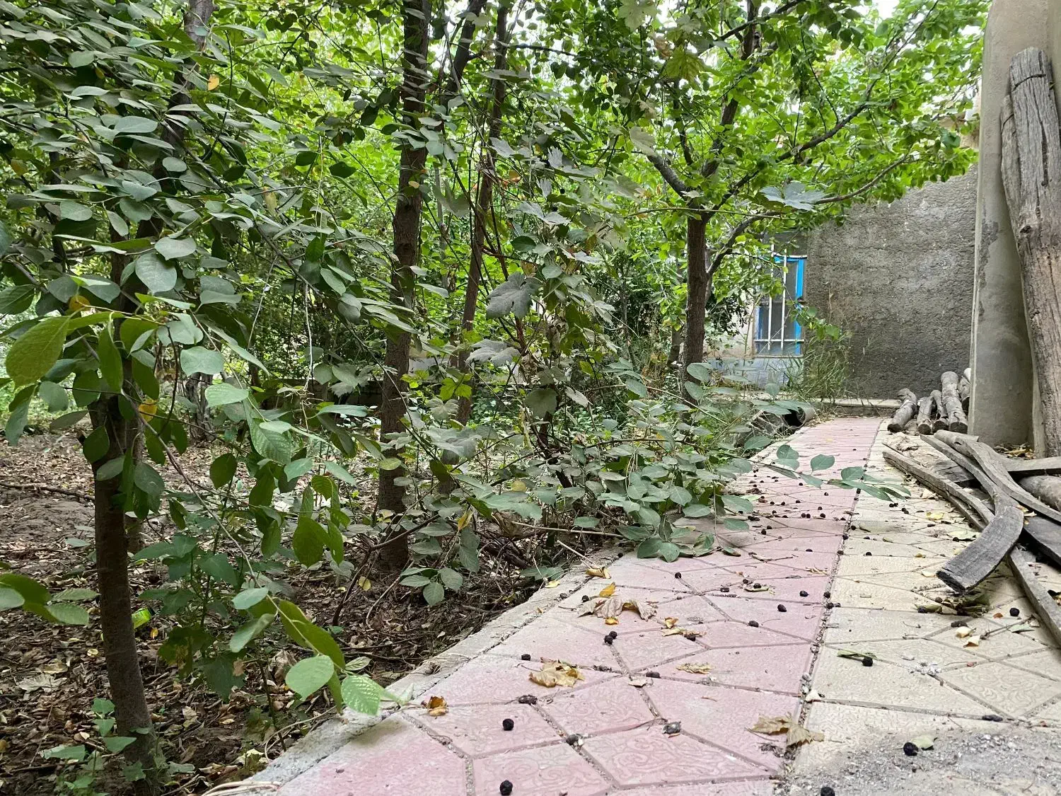 خ جزایری/380متر زمین /70متر سازه قدمت دار|فروش زمین و ملک کلنگی|محمدشهر, محمدشهر|دیوار