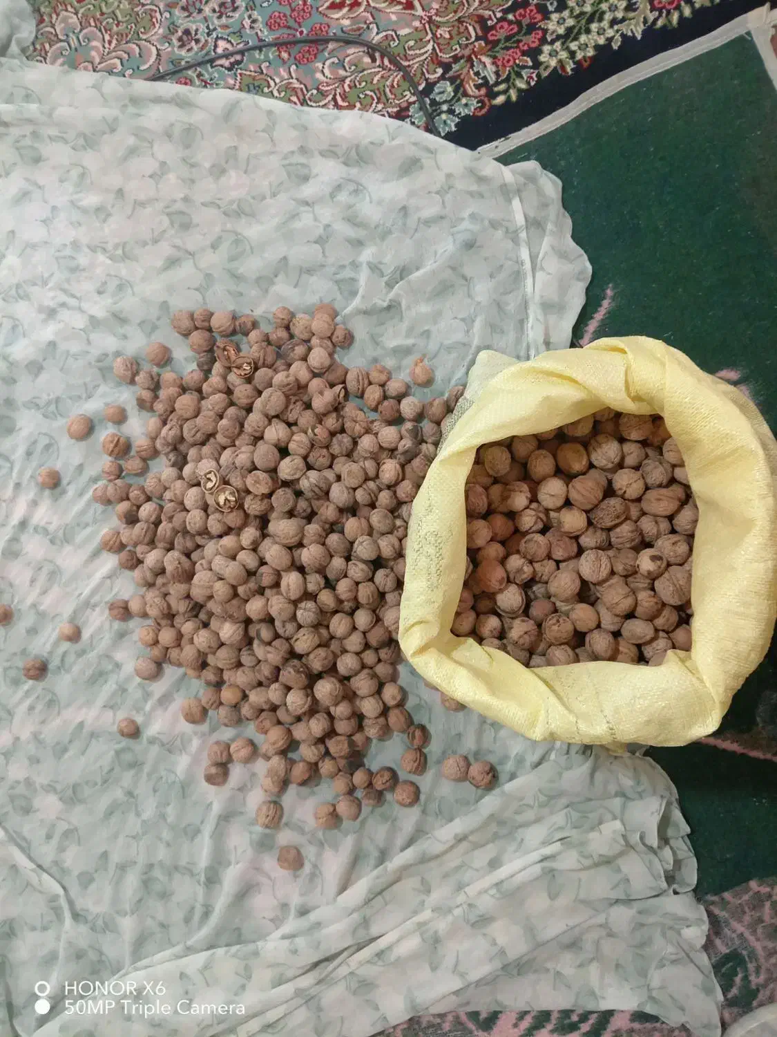 گردو ،، محصولات ارگانیک ،، دهبکری|خوردنی و آشامیدنی|بم, |دیوار