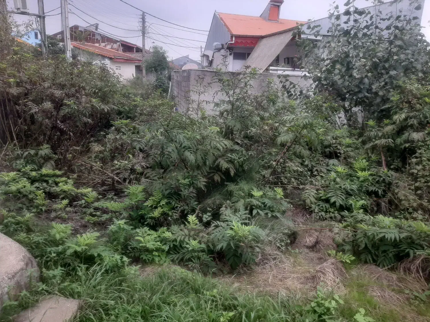 ۱۳۰م زمین مسکونی بلوار امام علی رشت قیمت شکاری|فروش زمین و ملک کلنگی|رشت, کوی قدس|دیوار