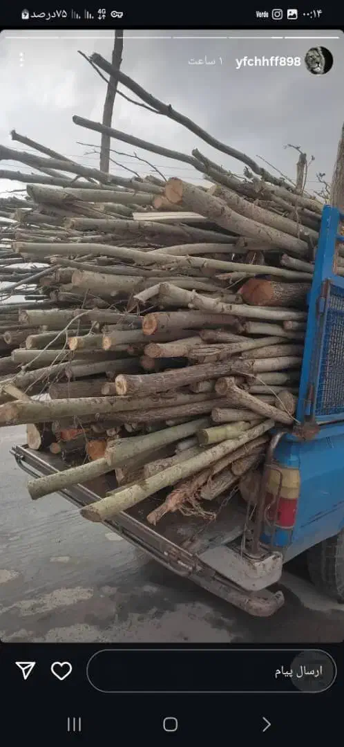 خرید انواع چوب ترو خشک سقفی ذغالی|خدمات باغبانی و درختکاری|خانمیرزا, |دیوار