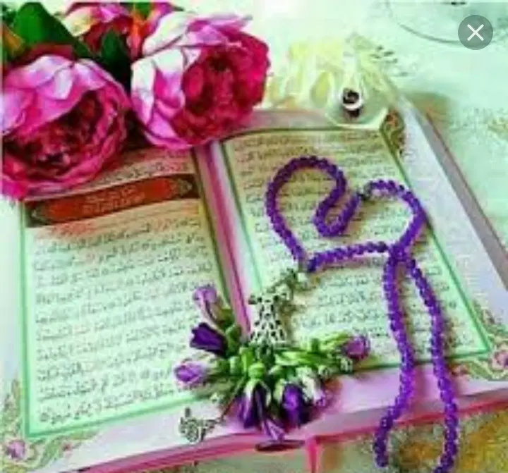 دعا|کتاب و مجله مذهبی|تربت‌حیدریه, شهرک ولیعصر|دیوار