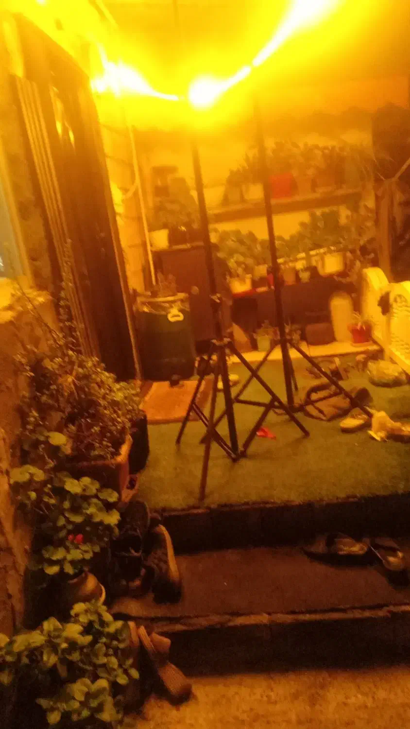 سه پایه|دوربین عکاسی و فیلمبرداری|رشت, کوی حسینی|دیوار