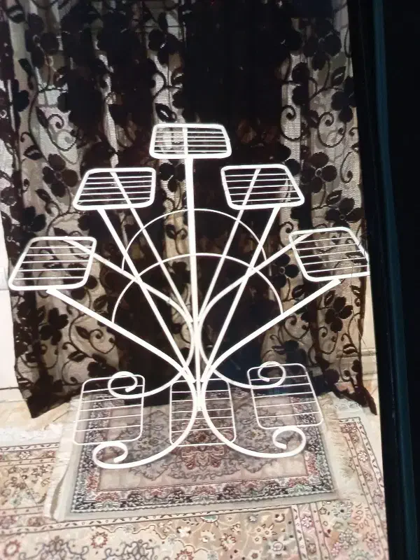 استند گل|گل و گیاه طبیعی|تهران, دانشگاه شریف|دیوار