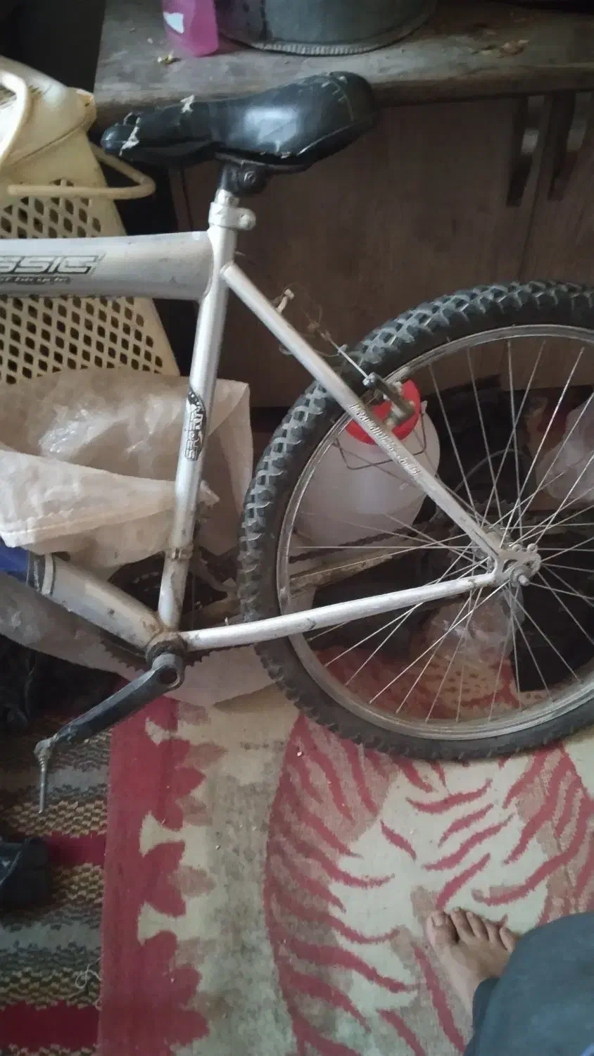 دوچرخه|دوچرخه، اسکیت، اسکوتر|تربتحیدریه, مظفریه|دیوار