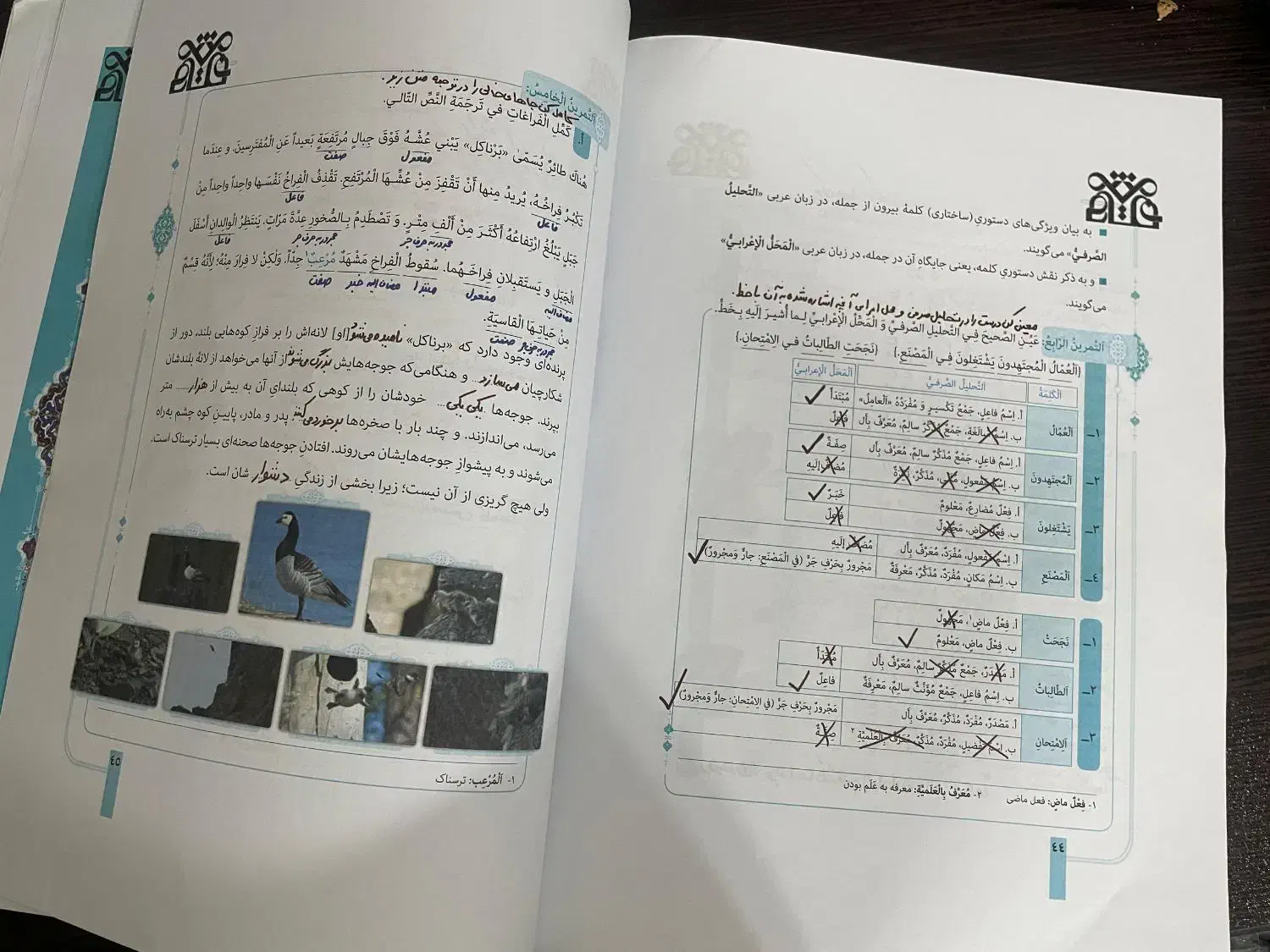 جزوه عربی‌مخصوص امتحان نهایی،بهترین استادعربی کشور|کتاب و مجله آموزشی|اهواز, بهزاد شهر|دیوار