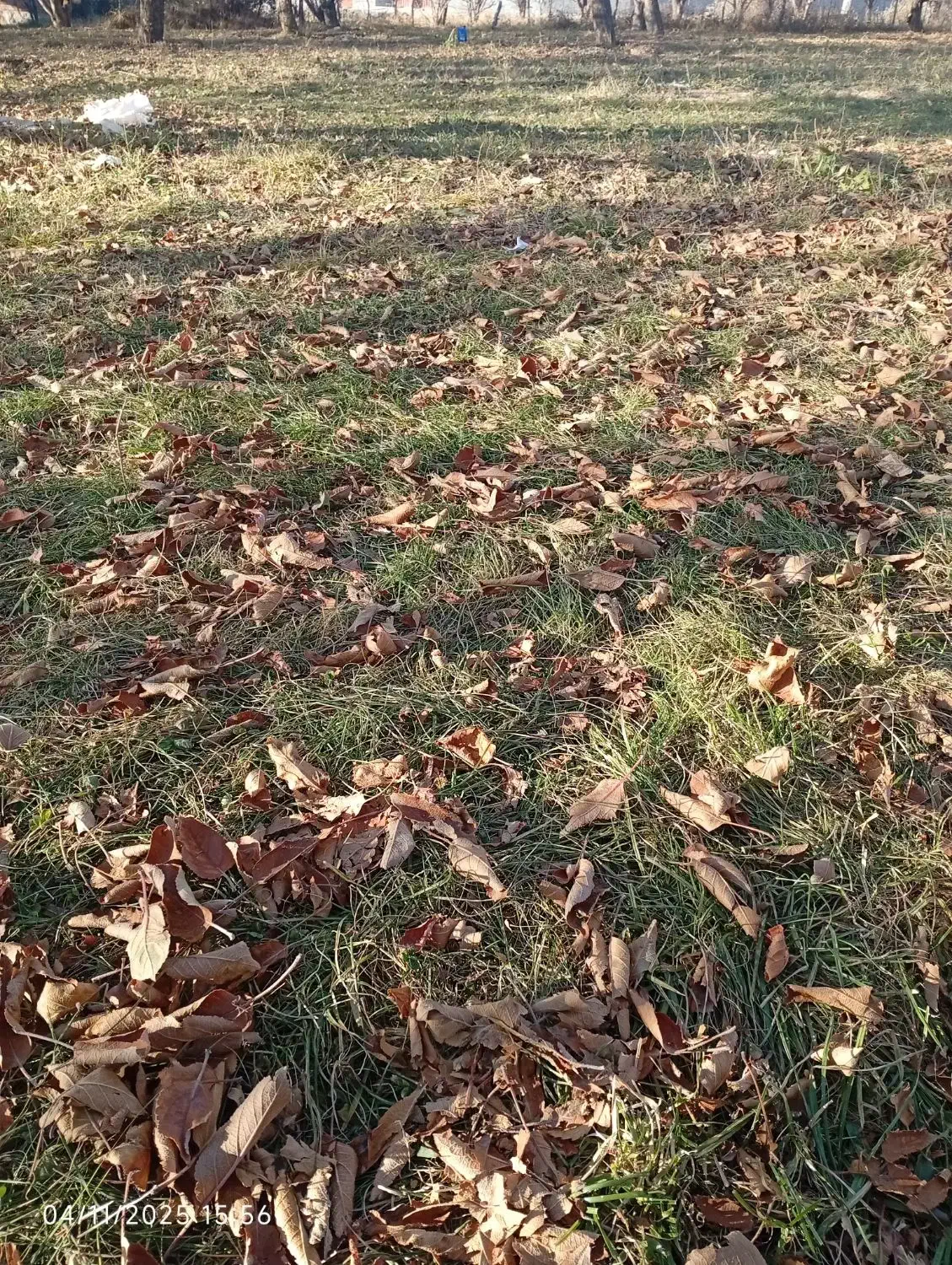 فروش قطعه زمین|فروش زمین و ملک کلنگی|سراجو, |دیوار