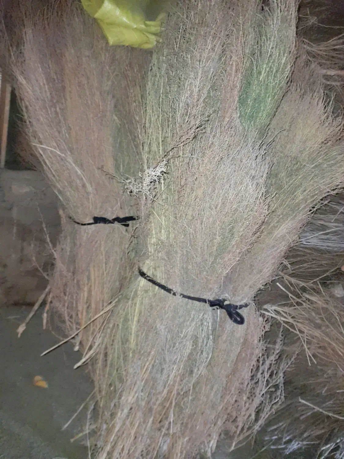 جارو|لوازم نظافت|خوی, |دیوار