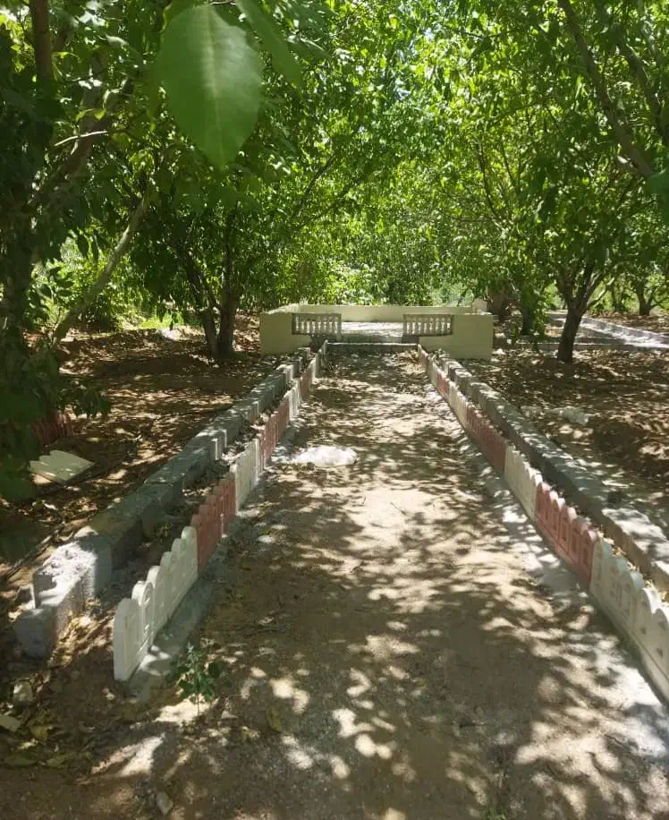 باغ ۱۰۰۰متری با ۷۰ درخت میوه سند تک برگ ۲۵۰میلیون|فروش زمین و ملک کلنگی|اصفهان, دشتستان|دیوار