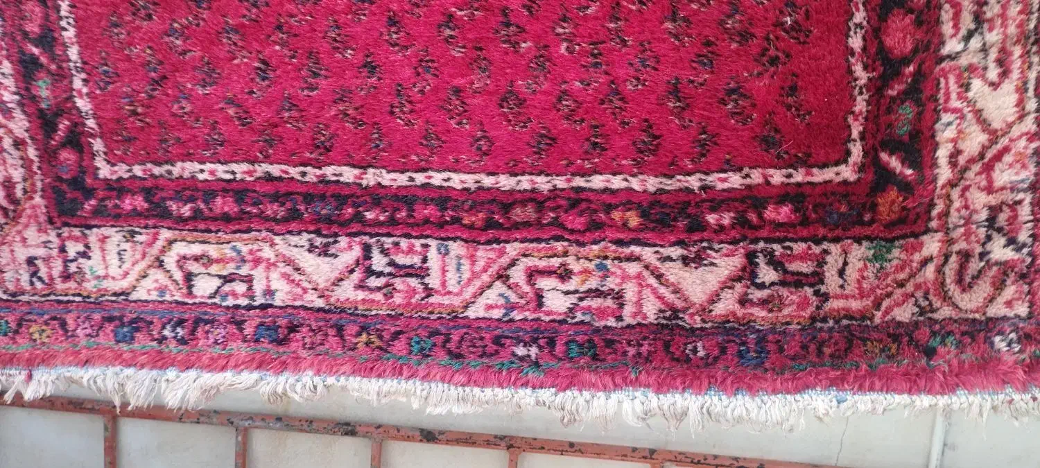 قالی ، کناره دستباف|فرش|نهاوند, |دیوار