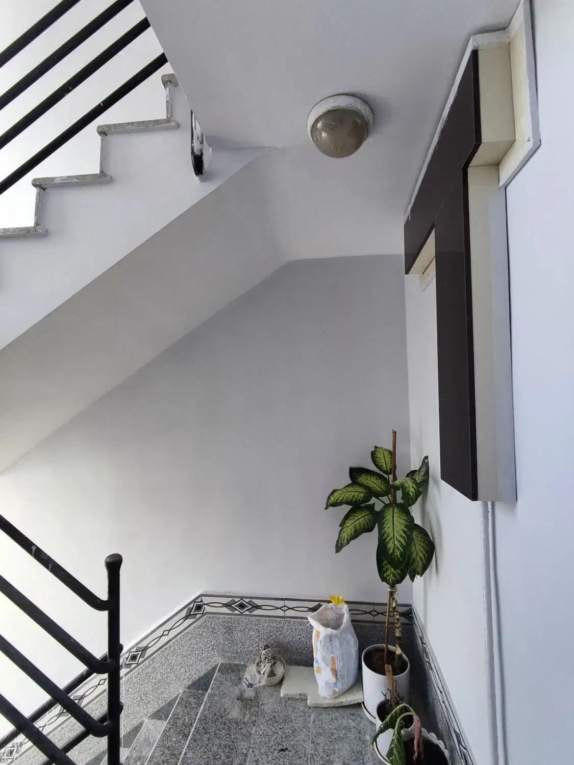 رنگ کاری ساختمان دراسرع وقت|خدمات پیشه و مهارت|بیرجند, |دیوار