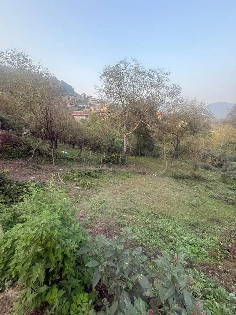 زمین بافت مسکونی منطقه زیبا لفور|فروش زمین و ملک کلنگی|آلاشت, |دیوار