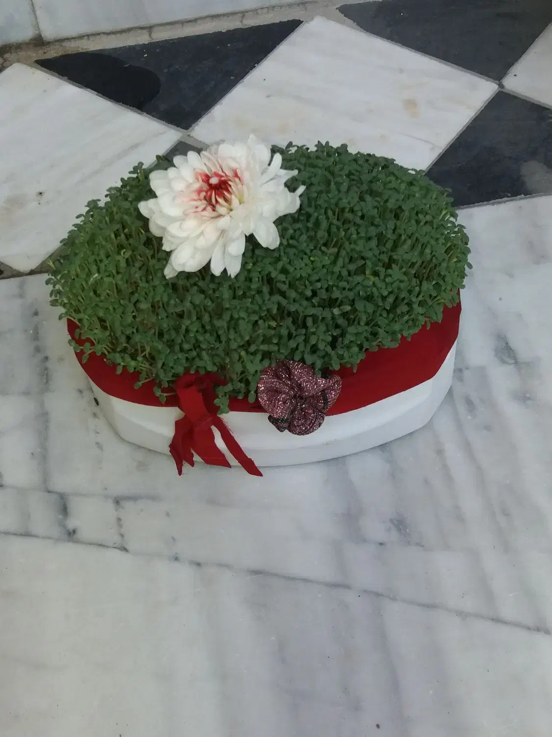 سبزه|خدمات پذیرایی، مراسم|بروجرد, |دیوار