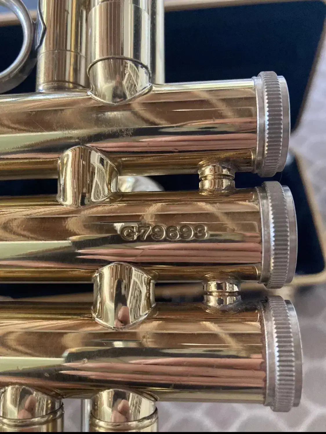 ترومپت باخ TR300 آمریکا|سازهای بادی|اصفهان, کشاورزی|دیوار