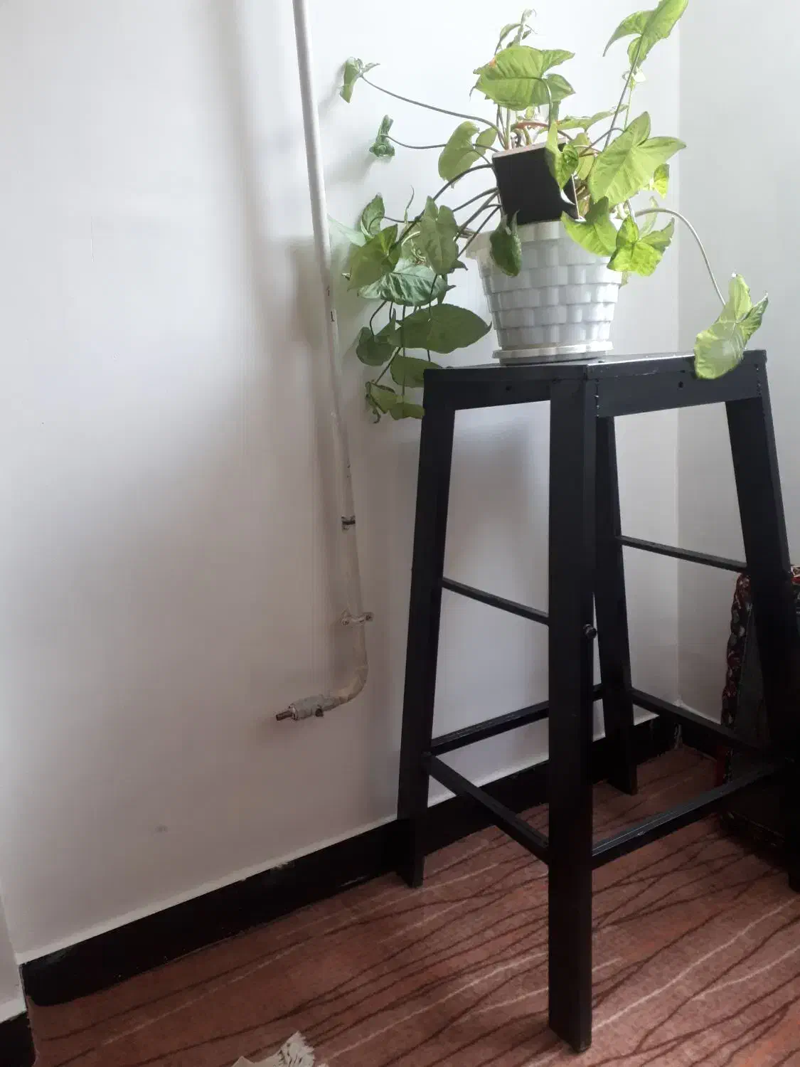 چهار پایە|صندلی و نیمکت|سنندج, |دیوار