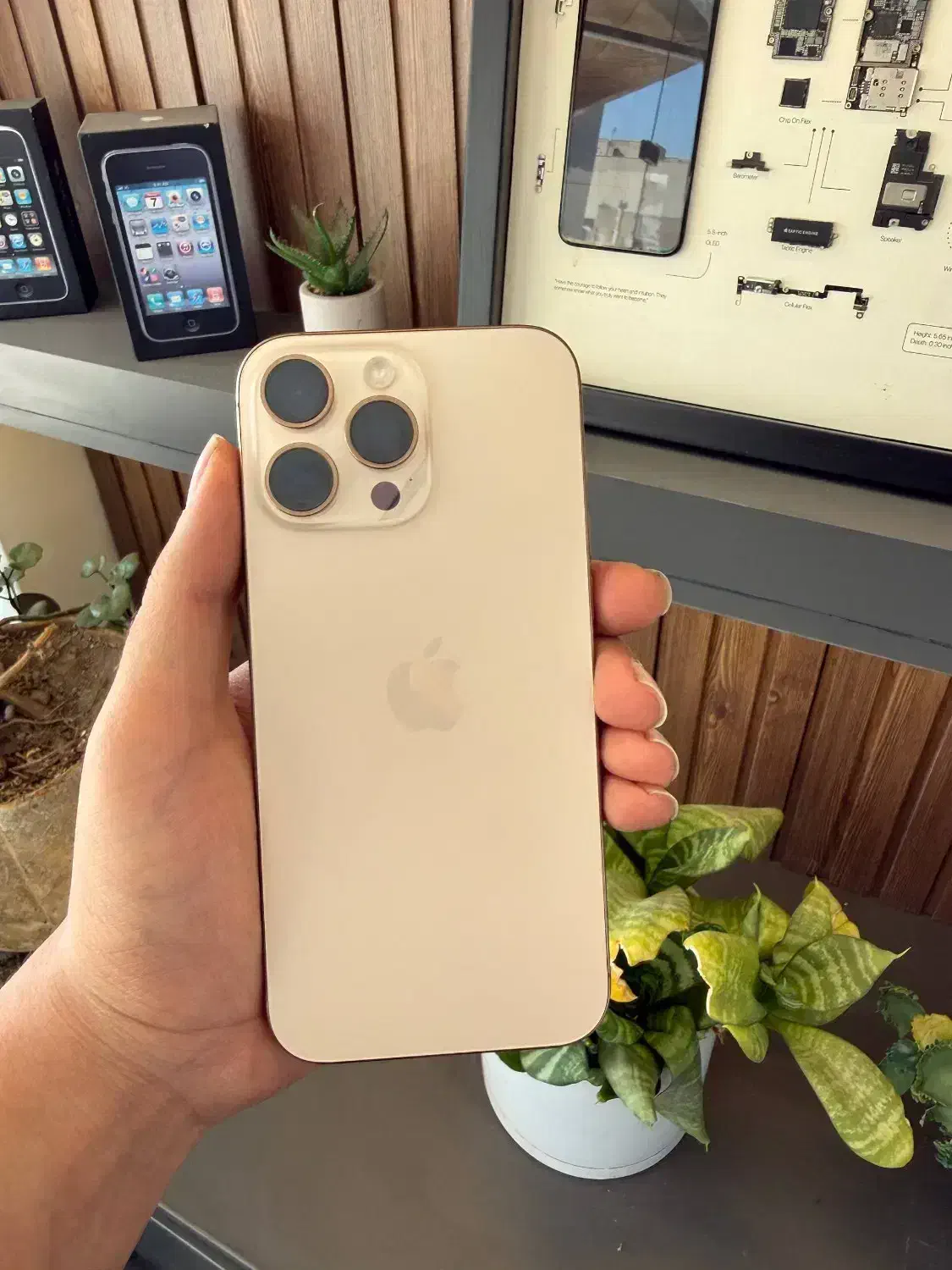 IPHONE 16 pro max 256 zaa فروش فوری|موبایل|ارومیه, |دیوار