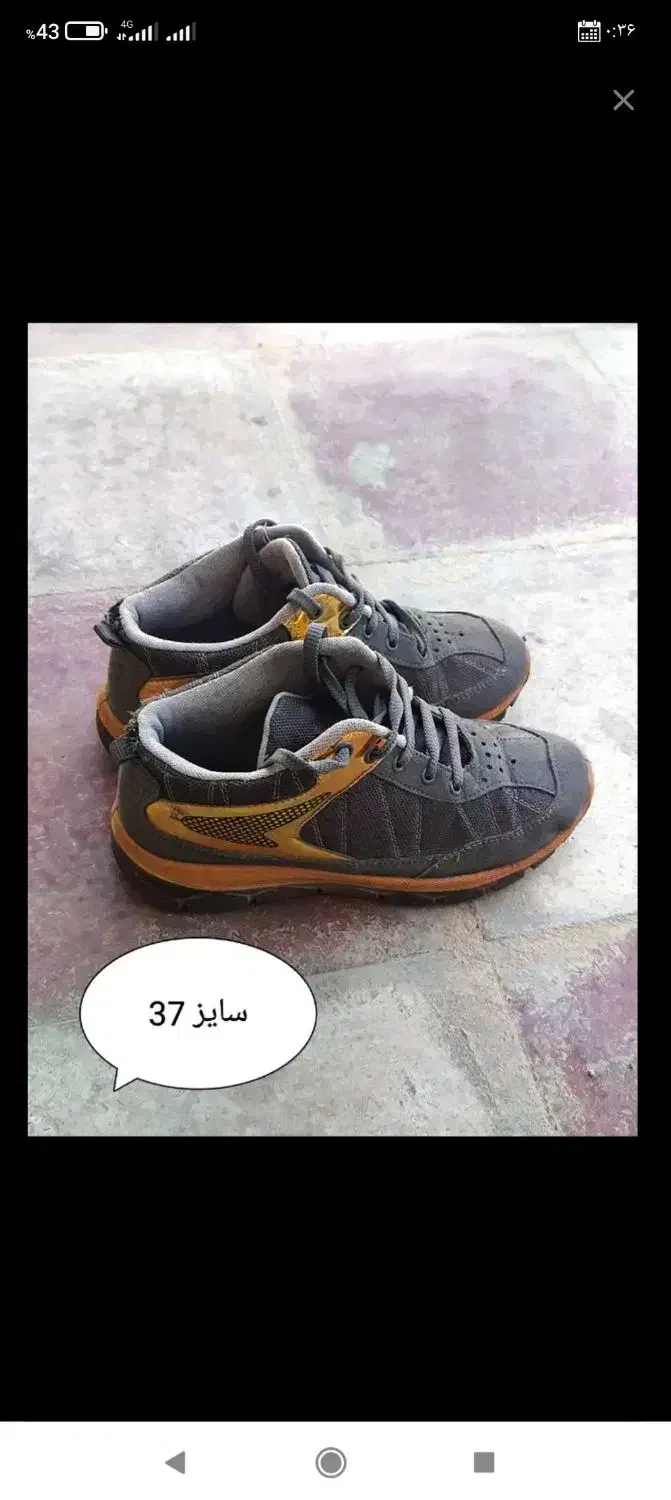 کفش اسپرت زنانه و مردانه سایز ۳۷|کیف، کفش، کمربند|کازرون, |دیوار