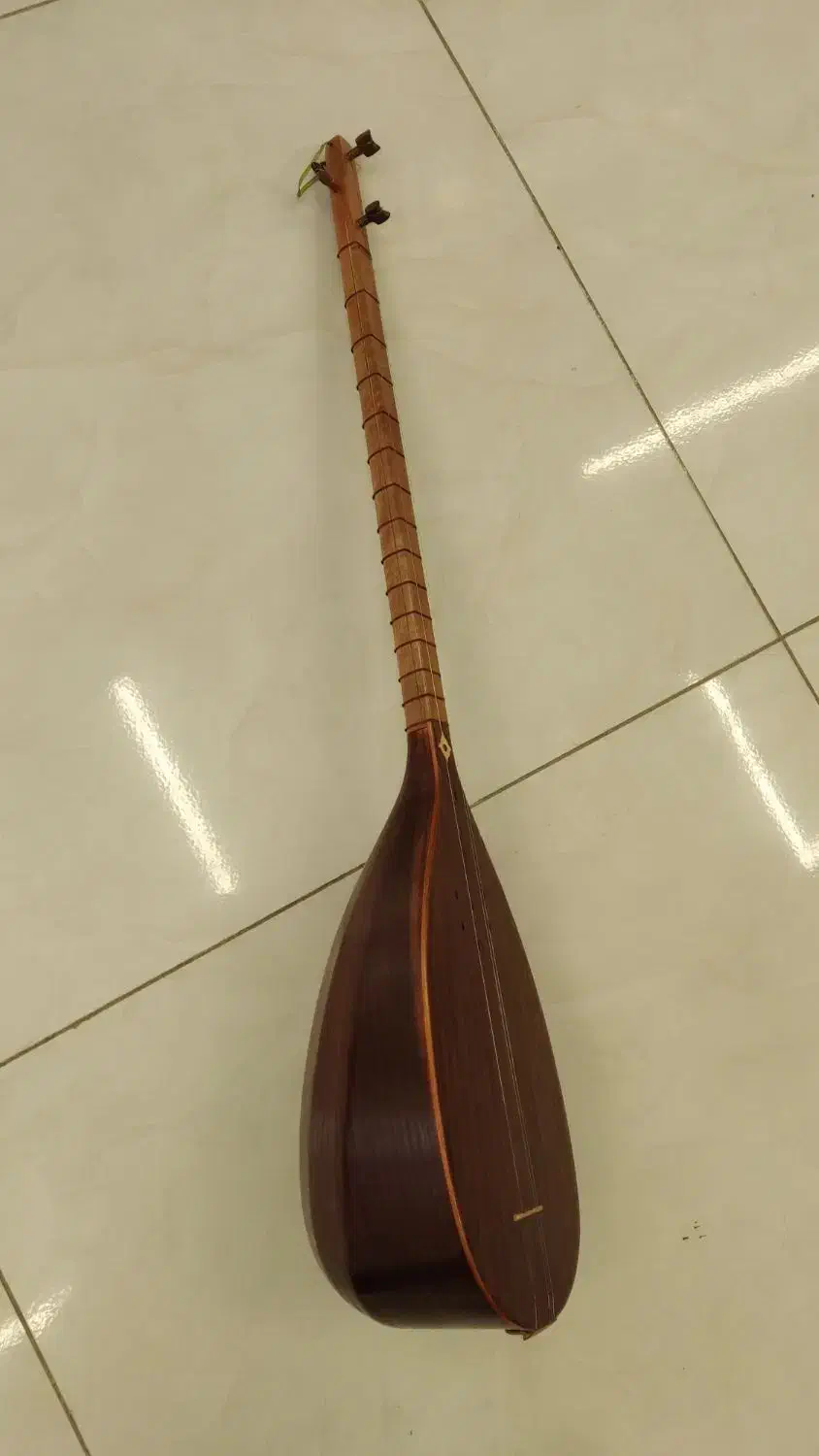 تنبور ترکه ای مهر زندی|سازهای سنتی|همدان, |دیوار