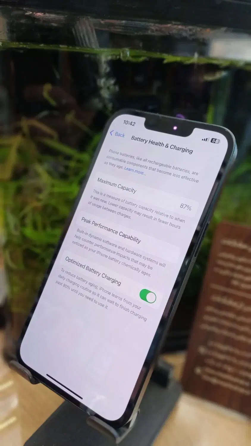 اپل iPhone 13 با حافظهٔ ۱۲۸ گیگابایت|موبایل|قم, نیروگاه|دیوار