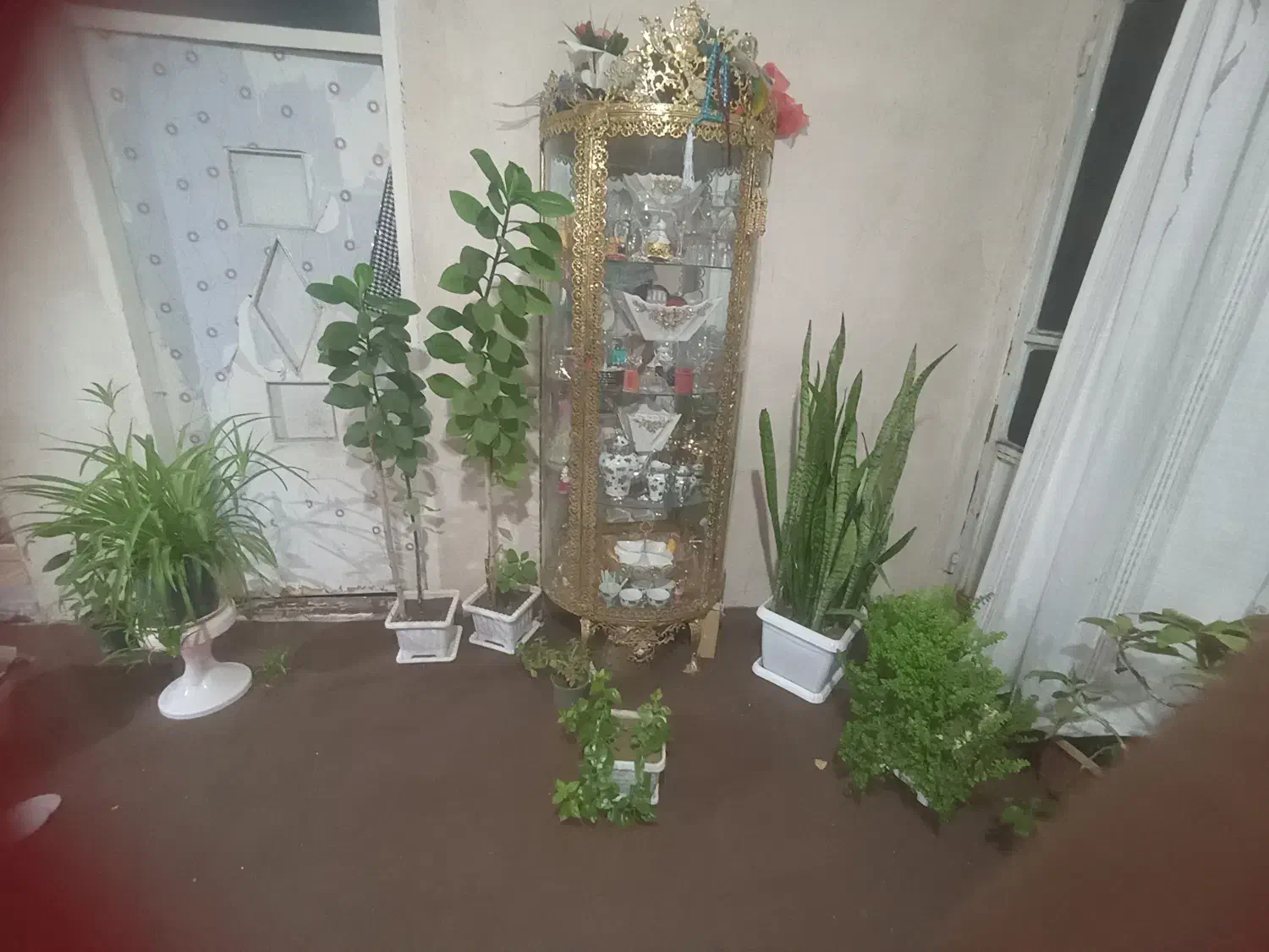 کل قشنگ|عمده‌فروشی|تیکمه داش, |دیوار