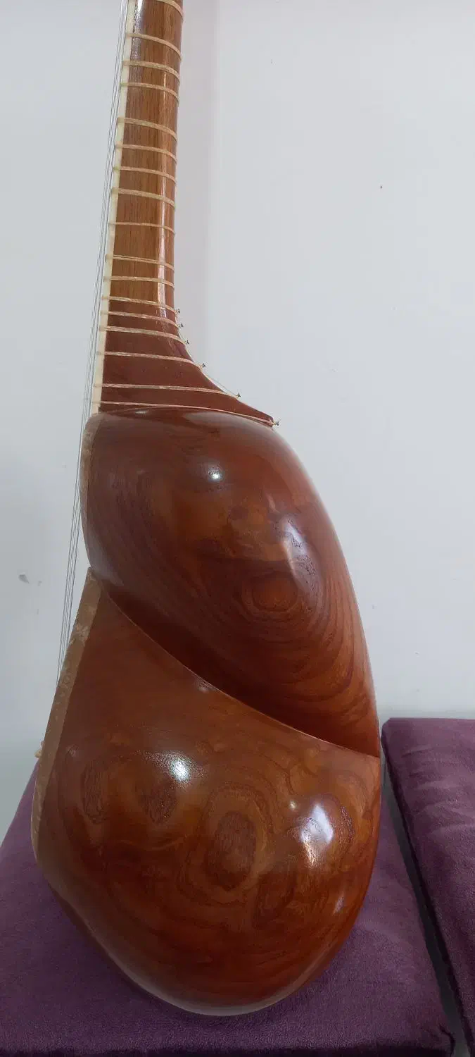 فروش تار|سازهای سنتی|مهاباد (آذربایجان غربی), |دیوار