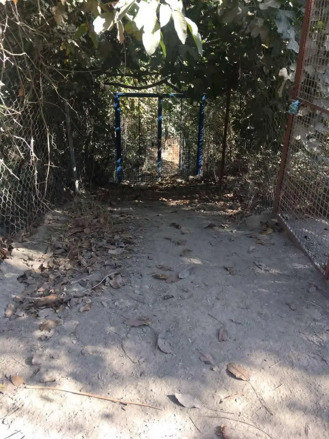 باغ و باغچه|فروش زمین و ملک کلنگی|طارم (زنجان), |دیوار