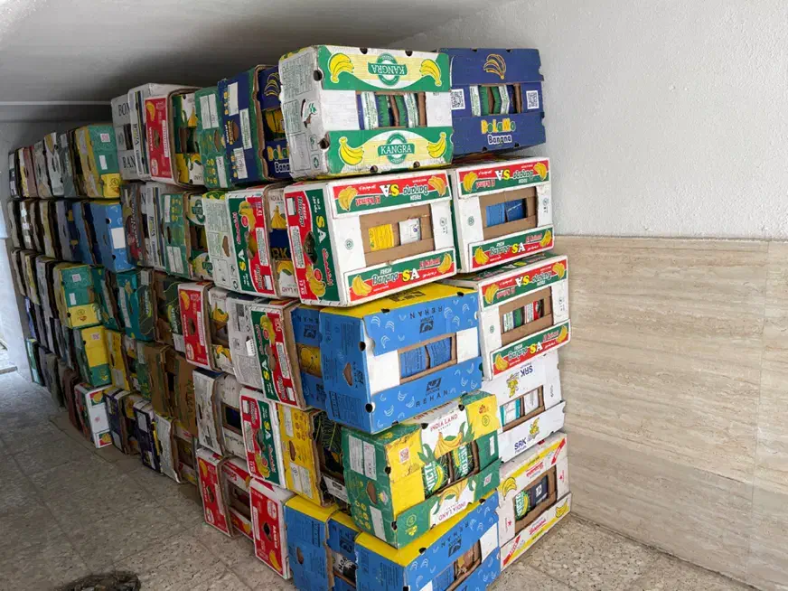 فروش کارتن موزبصورت کلی بزرگ وکوچک|عمدهفروشی|رشت, جماران|دیوار