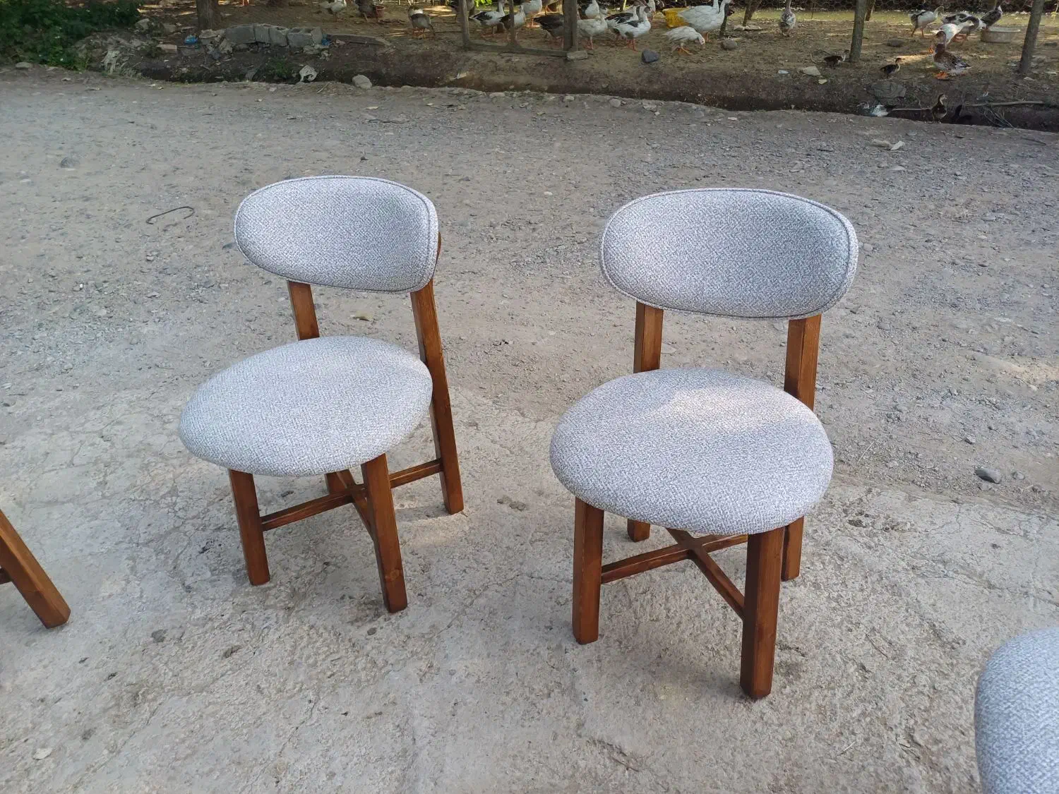 ناهارخوری مینیمال با اقساط 3ماه|میز و صندلی غذاخوری|رشت, گلسار|دیوار