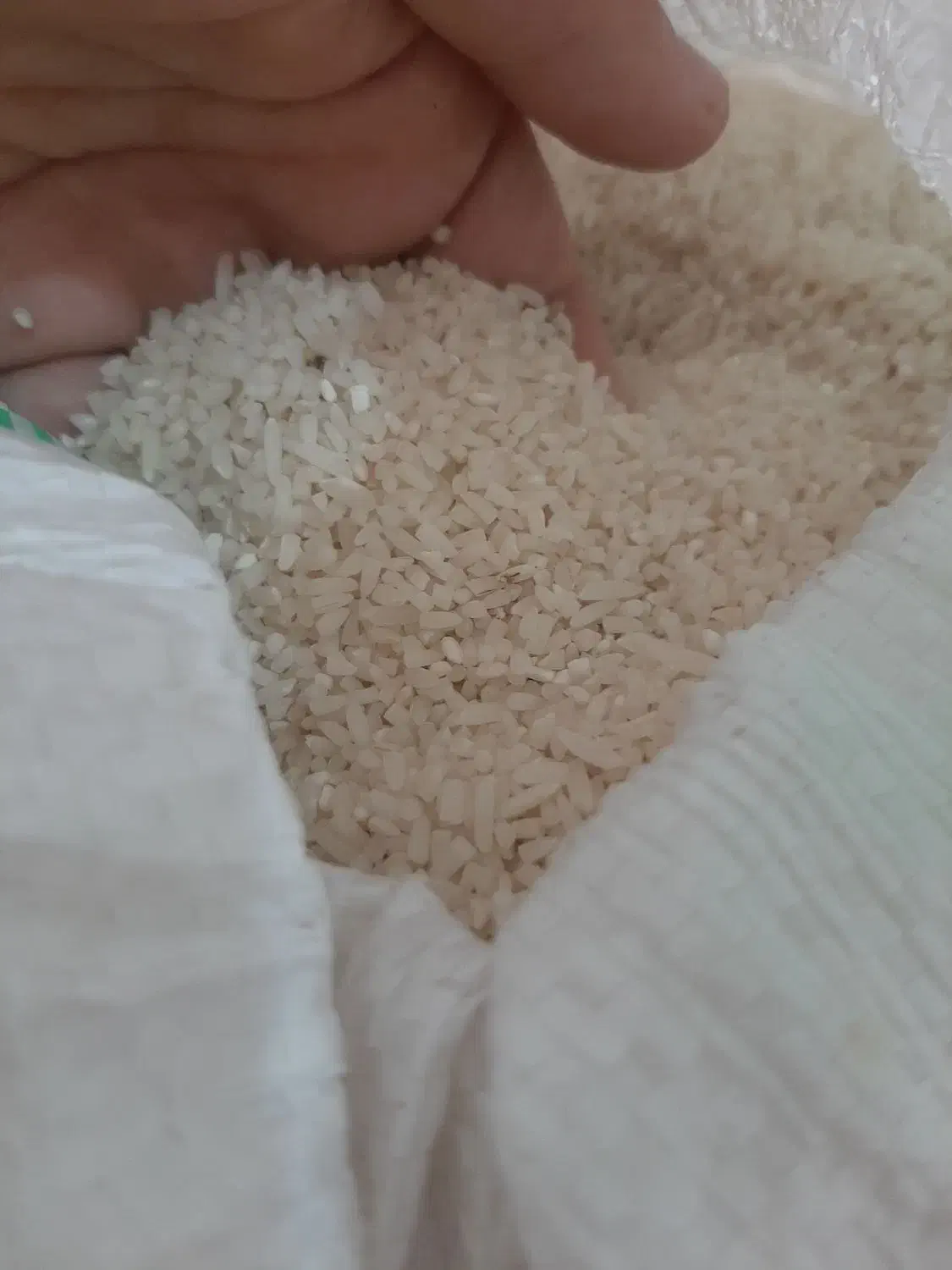 برنج نیم عطری شمال|خوردنی و آشامیدنی|مریوان, |دیوار