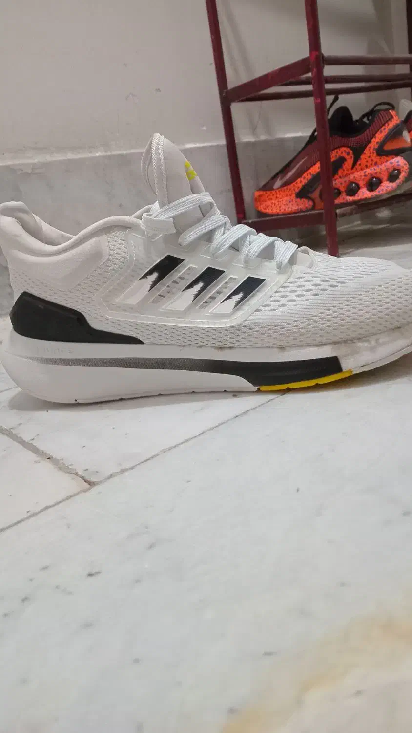 کفش آدیداس اصلی|کیف، کفش، کمربند|مشهد, حضرت حجت|دیوار