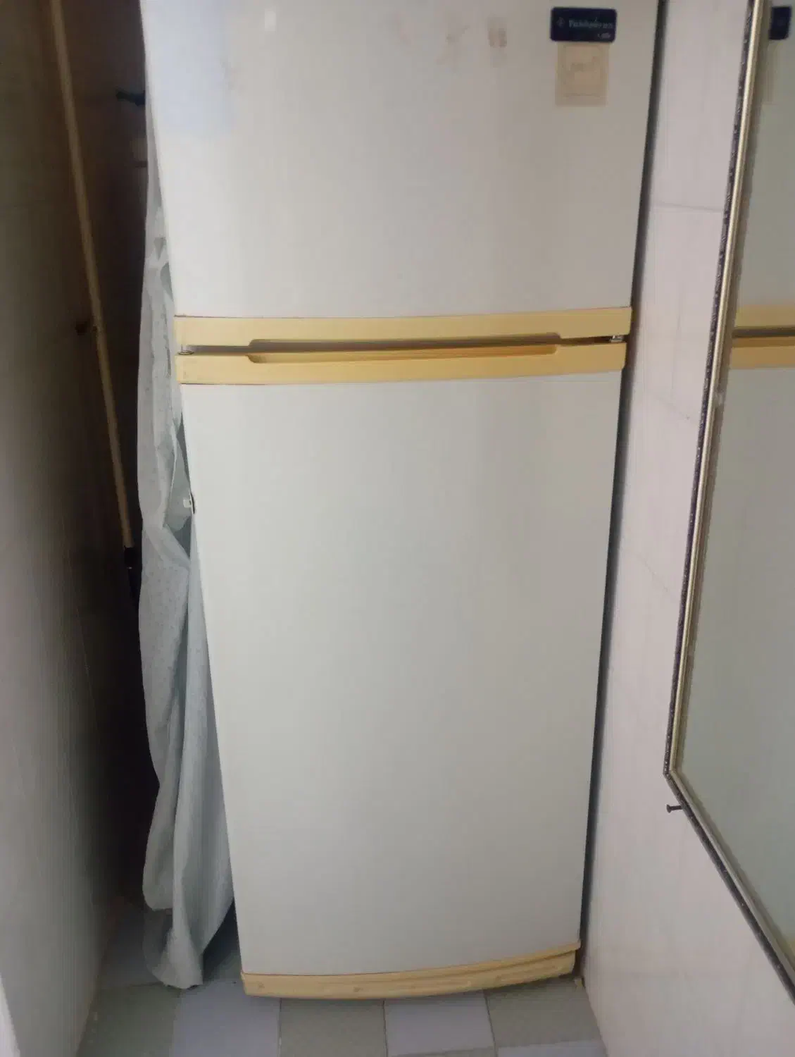 یخچال|یخچال و فریزر|دهدشت, |دیوار