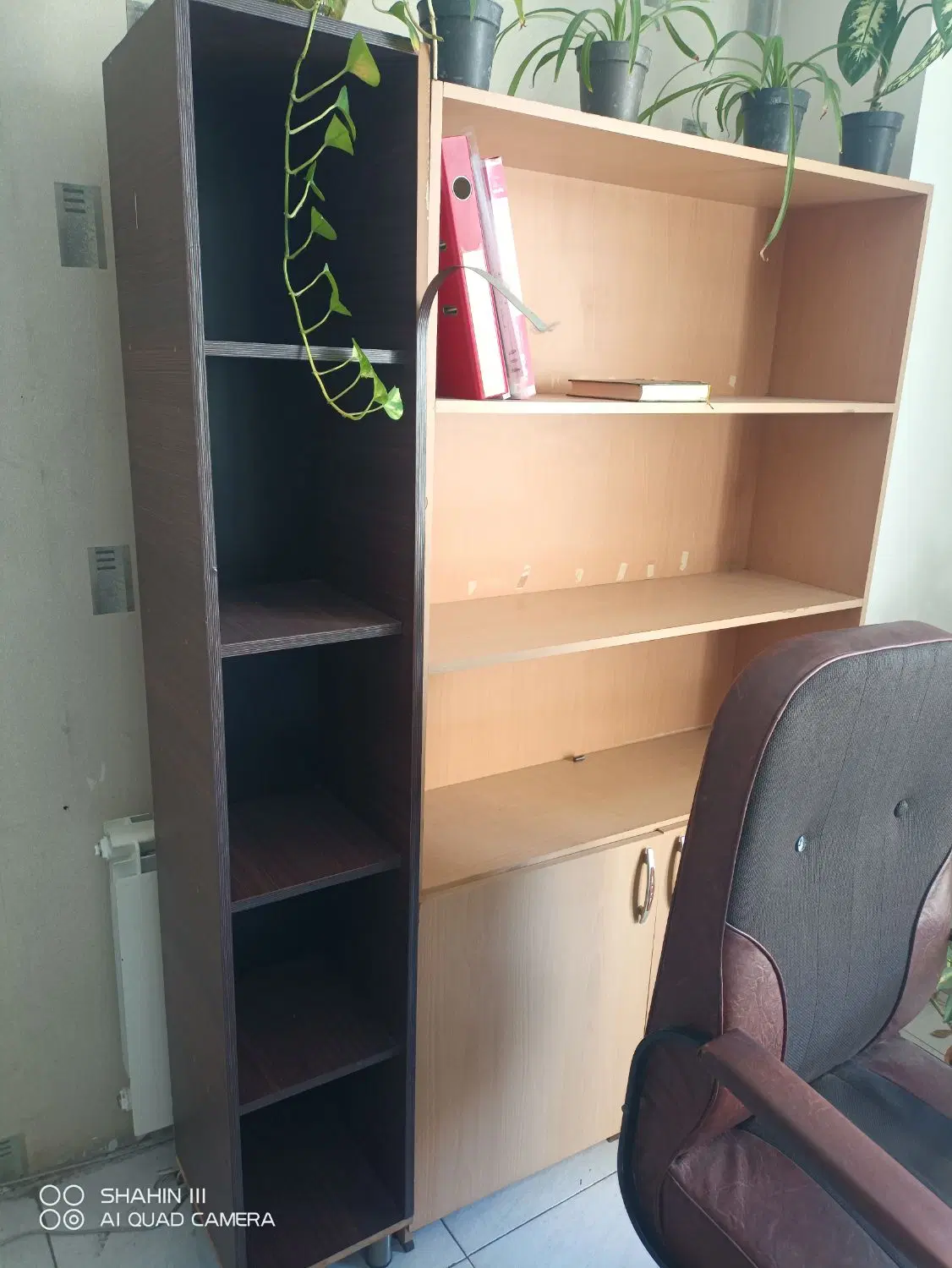 کتابخانه|کتابخانه، شلف، قفسههای دیواری|تبریز, |دیوار