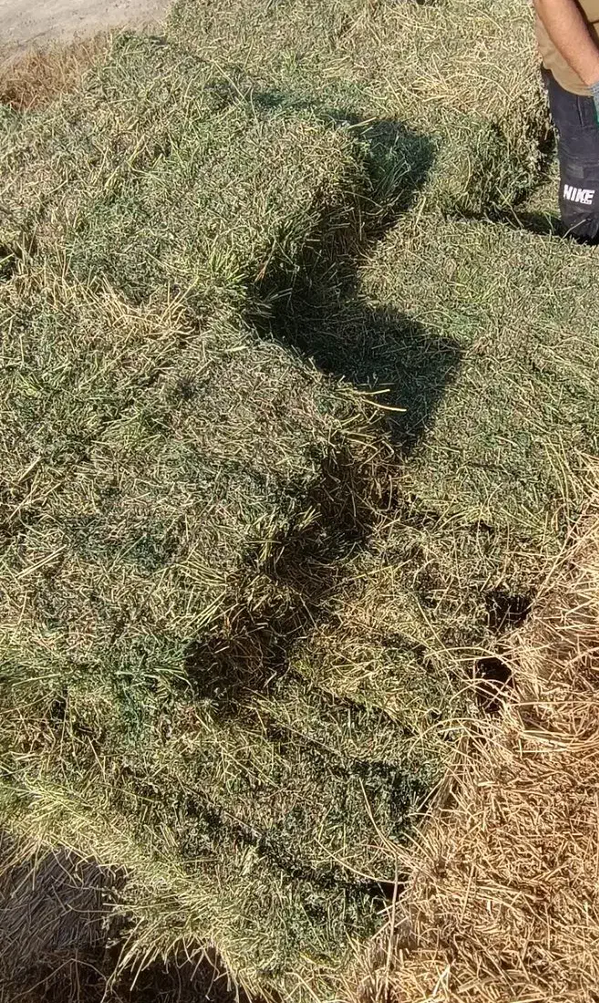 یونجه پرس|عمدهفروشی|بران, |دیوار