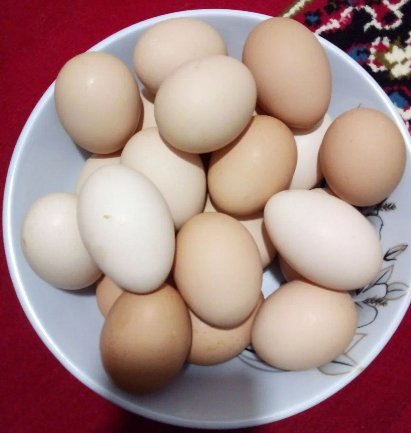 تخم|خوردنی و آشامیدنی|تربت‌حیدریه, بالا ولایت|دیوار
