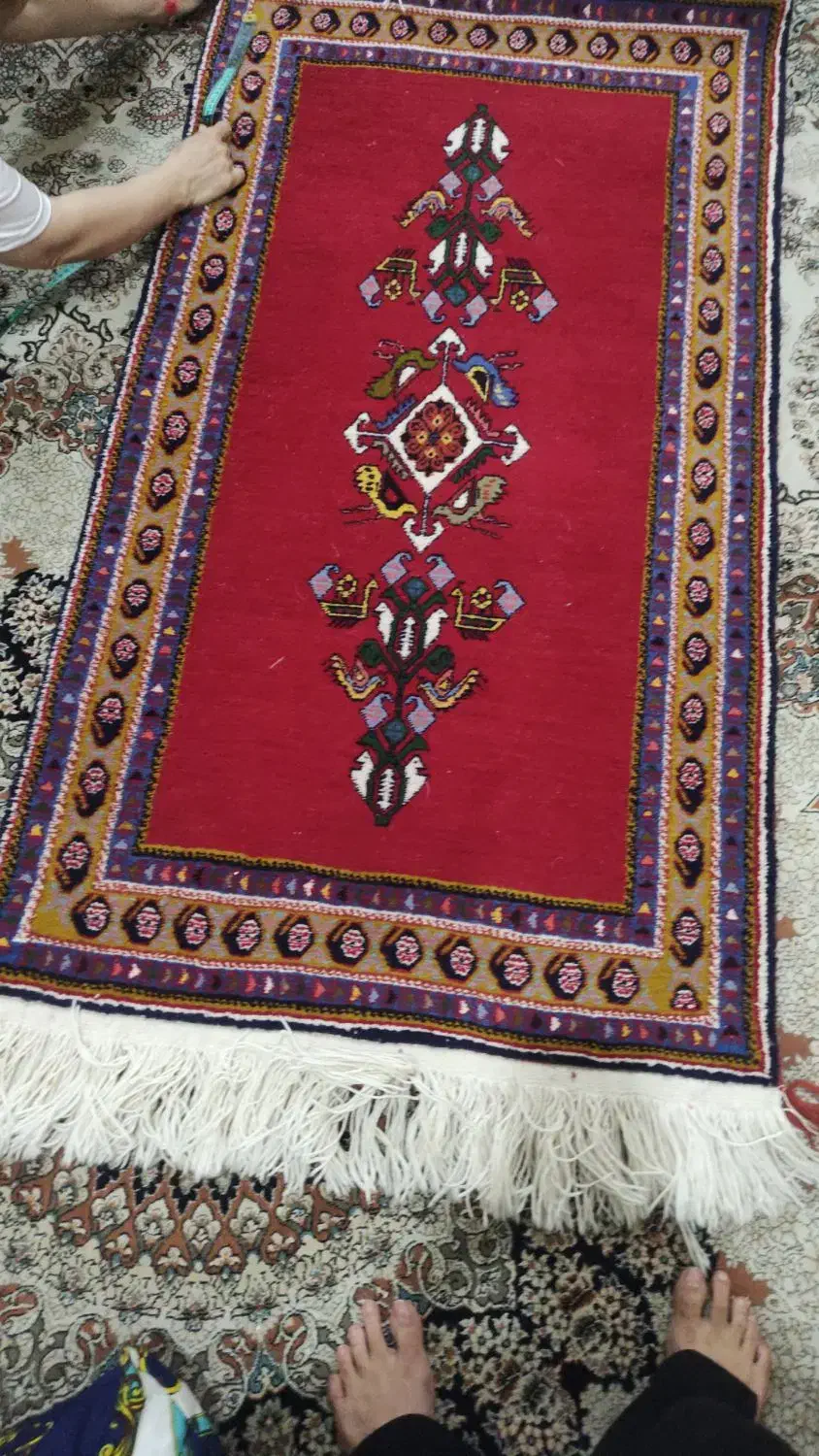 قالیچه دستبافت با بند مرینوس|فرش|خورموج, |دیوار