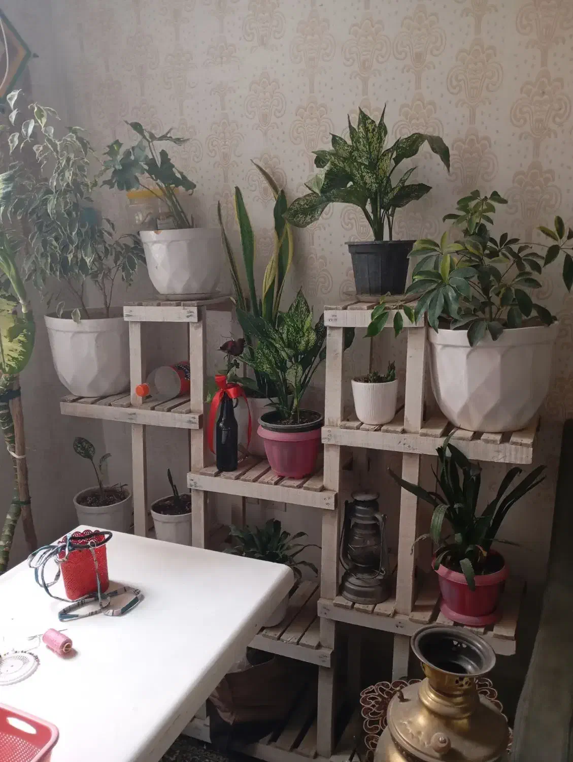 استند گل پایه دار|کتابخانه، شلف، قفسههای دیواری|کاشمر, |دیوار