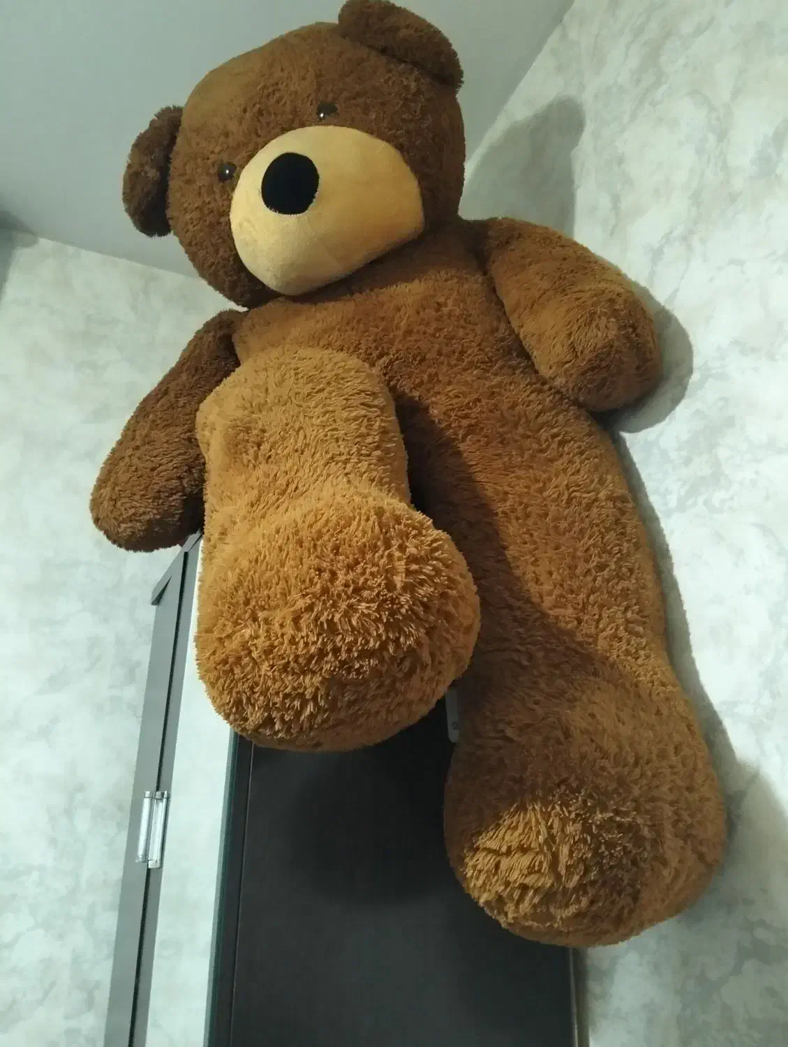 عروسک خرسی|اسباب‌بازی بچه|پرند, فاز ۵|دیوار