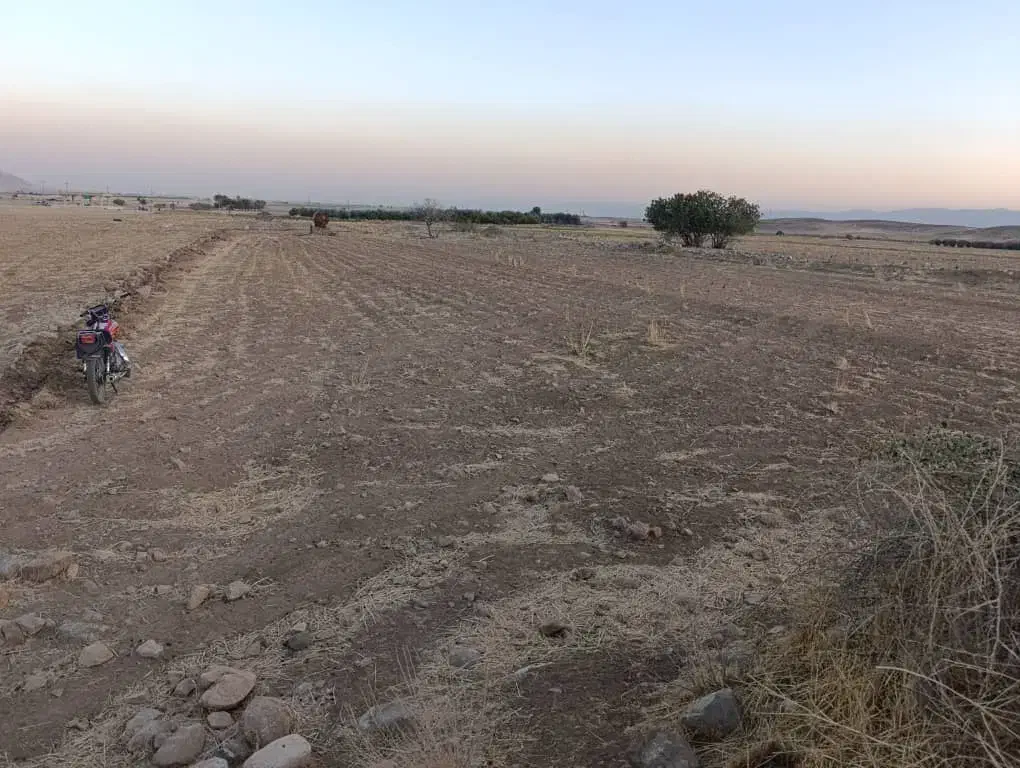 فروش سه هزارمتر زمین|فروش دفتر صنعتی، کشاورزی، تجاری|بانش, |دیوار