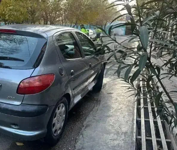 ۲۰۶|خودرو سواری و وانت|مشهد, نظام دوست|دیوار