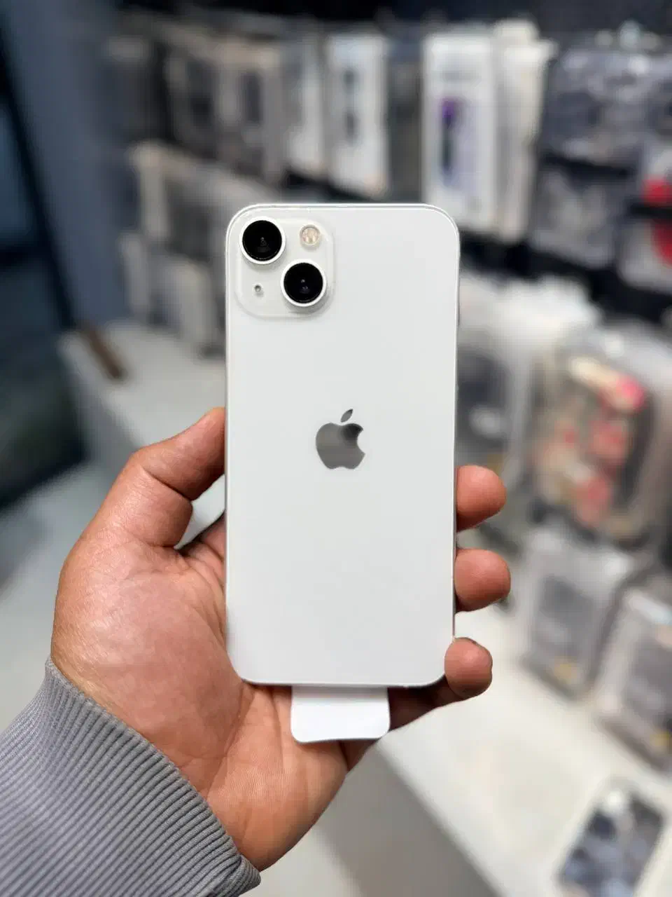 آیفون 13 نرمالzaa|موبایل|رشت, کاکتوس|دیوار