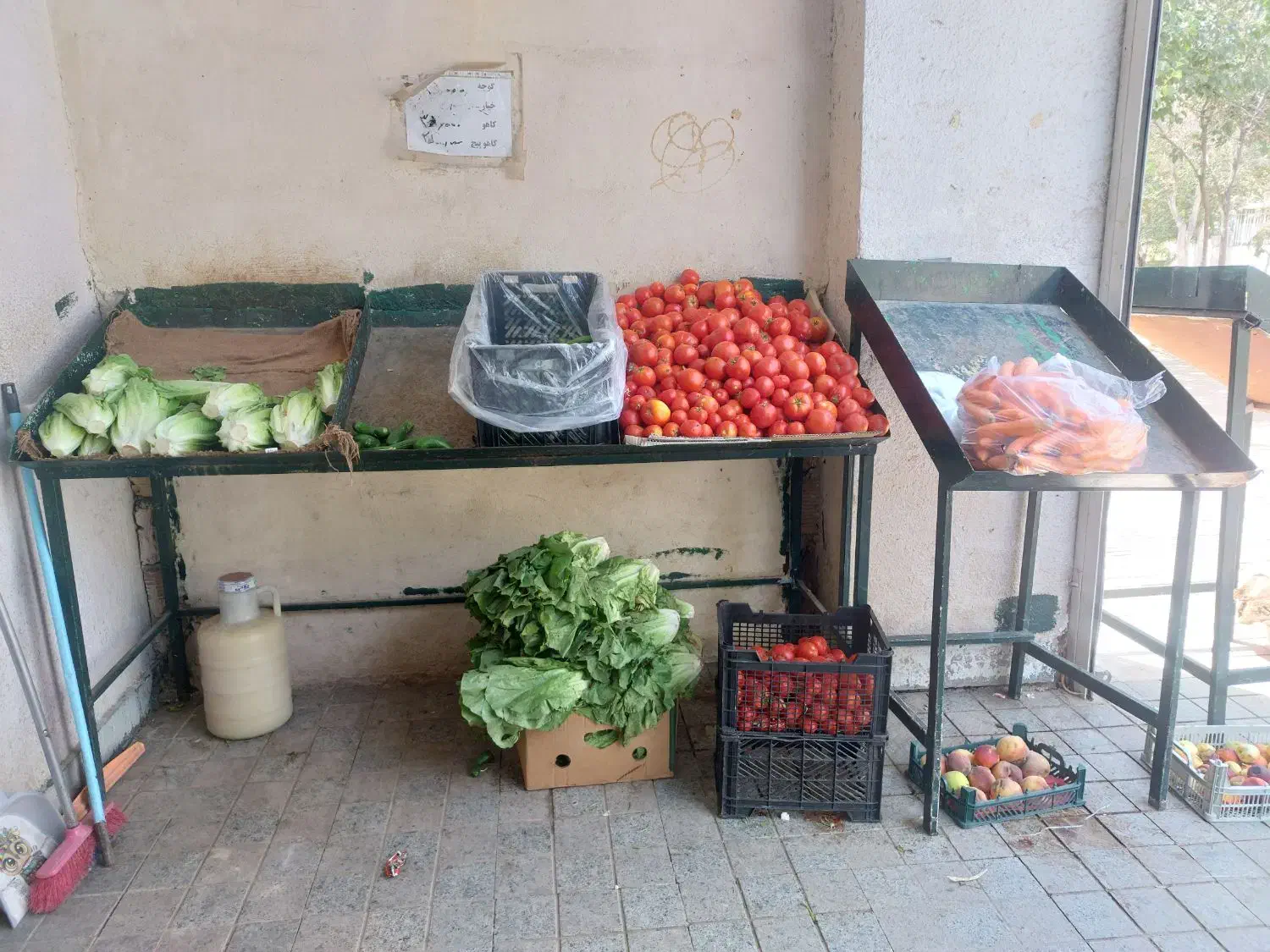 مغازه ۳۴ متری میوه فروشی|اجارهٔ مغازه و غرفه|تهران, کیانشهر|دیوار